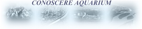 Torna ad AQUARIUM home page